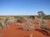  dunes in welford nat park