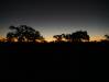  bushcamp sunsets
