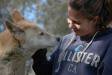  conny dingo sanctuary