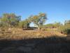  barcoo river in welford nat park