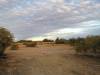  camp ground in bedourie