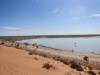  big red, desert and lake